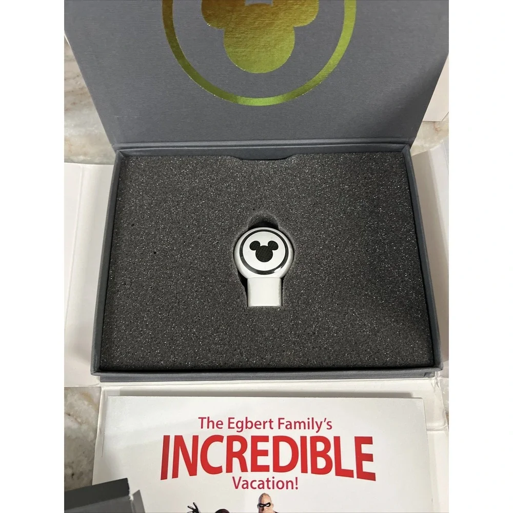 Disney world incredibles
